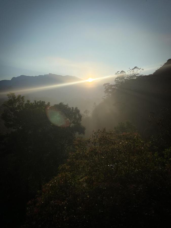 Casa Hostal Amor Viajero ซาน ฟรานซิสโก ภายนอก รูปภาพ