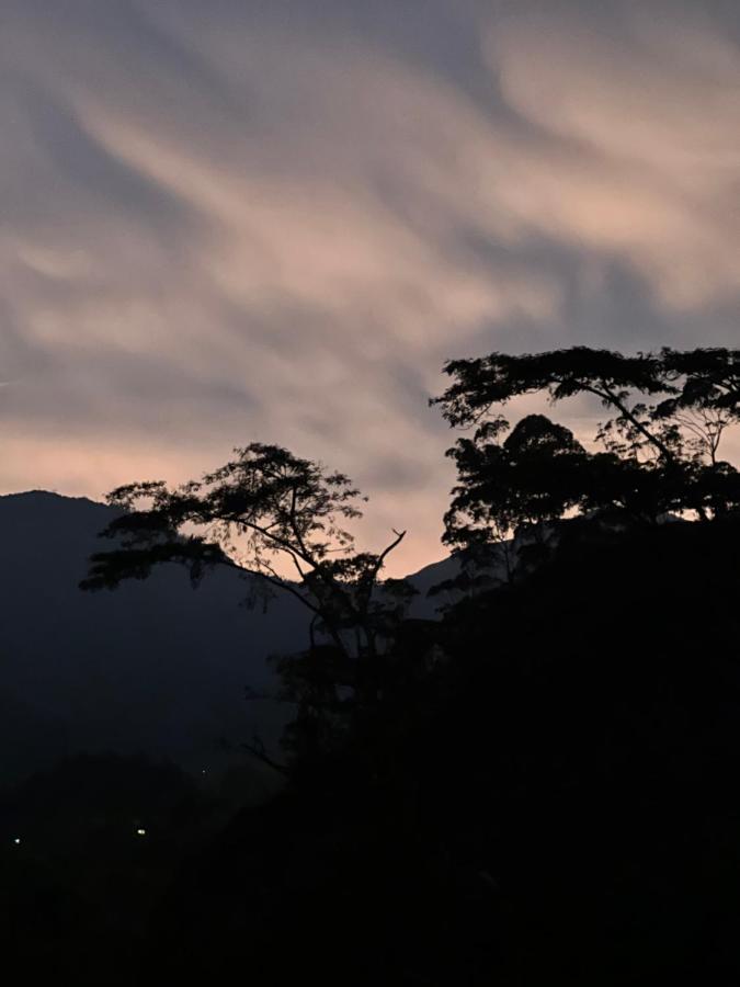 Casa Hostal Amor Viajero ซาน ฟรานซิสโก ภายนอก รูปภาพ